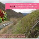 유경농장 이미지