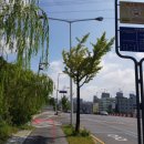 정림삼거리30810) 이미지