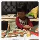 딱좋아 이미지