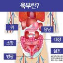 오장육부 이미지