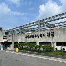 엑스파크공원(푸르네)_M | 여름이 가기 전에 즐겨요! 물놀이 천국, 경기도 가평 대형 빠지 캠프통 포레스트