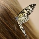 마음에꽃한의원 이미지