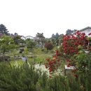 중문허브독채펜션 이미지