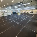 멍멍유치원 이미지