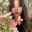 청담마사지 이미지