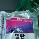 동해종묘사 이미지