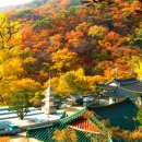 영암댁 네이버블로그
