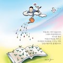 봄씨