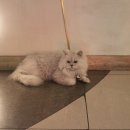 단골 노래연습장 이미지