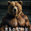 풀코스클린 이미지