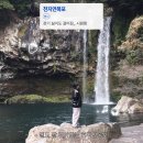 남원읍-7 | 제주 천지연 폭포 주차장 및 소요시간, 유모차도 가능한 힐링 가족여행 명소