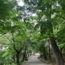 별스런 산책 이미지