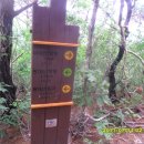 남정리 주차장 이미지