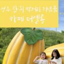 카페옐롱 이미지
