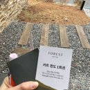 행복둥지 화장실 | 리솜포레스트 s30 빌라형/ 해브나인 나이트스파/ 월성집과 둥지치킨 포장 후기