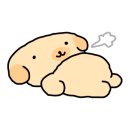 라이스파이 이미지