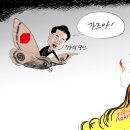 197 이미지