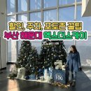 더 스카이(THE SKY) | 부산 해운대 엑스더스카이(X the SKY) 방문 후기! 100층에서 즐기는 환상적인 오션뷰와 인생샷 🎄✨