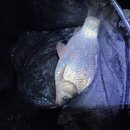 새말낚시터 이미지