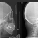 서울김치과 이미지