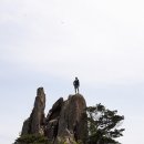 바우삼춘 이미지