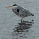 염수재(念修齋) 이미지