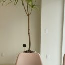 베이하우스베이커리 이미지
