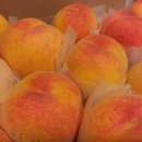 후니농장 이미지