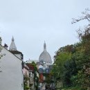 마이몽몽 이미지