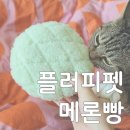 플러피펫 이미지