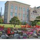 목화유치원 이미지