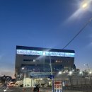 [노량진/수산시장] 노량진 진진수산+ 초장집 일번지 회양념 방어 인어교주해적단 주문 후기 _내돈내산