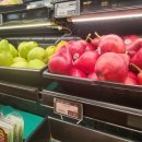 주식회사 서부중앙정비 | 미국 서부 가족여행(1)