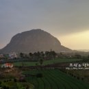 제주 나르샤펜션 이미지