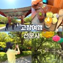 라벤더펜션 | 고창 선운사 고창가볼만한곳 주차장 폴바셋 가족여행코스 추천, 반려견가능, 입장료없음