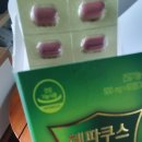 마마메디 이미지