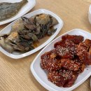 911 카프라자 이미지