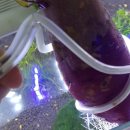 어항 세탁소 이미지