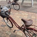 GM24편의점 | 이른 봄, 팔당 자전거 타고 사진 찍을 겸 나들이.