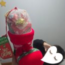 위니비니코엑스 | 위니비니 크리스마스 선물세트 구매후기
