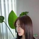 신동-47 이미지