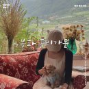 경북 봉화 홀리가든 애견동반 숙소 내돈내산 후기