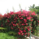 낙동강변로 이미지