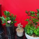 부자목장 이미지