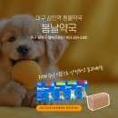 봄날약국 이미지