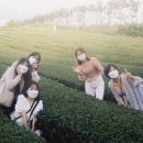 미림사진관 네이버블로그