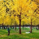 일렁이는 이미지