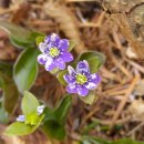 우현목장 이미지