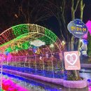 프로방스 포토랜드 | [경북] 청도 프로방스 포토랜드 / 대구근교 겨울밤 감성 가득한 청도 가볼만한 곳