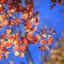 소용경로당 이미지